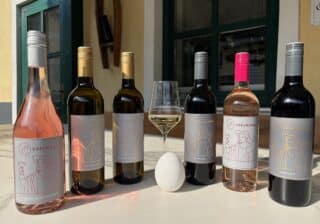 OSTERLICHT – FRÜHLINGSWEINE FÜR BESONDERE TAGE