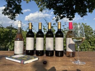 SOMMER IN CARNUNTUM